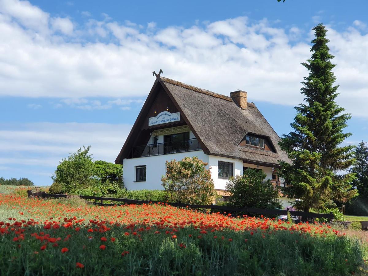 Pension Petersen Bergen Auf Rugen Exterior foto