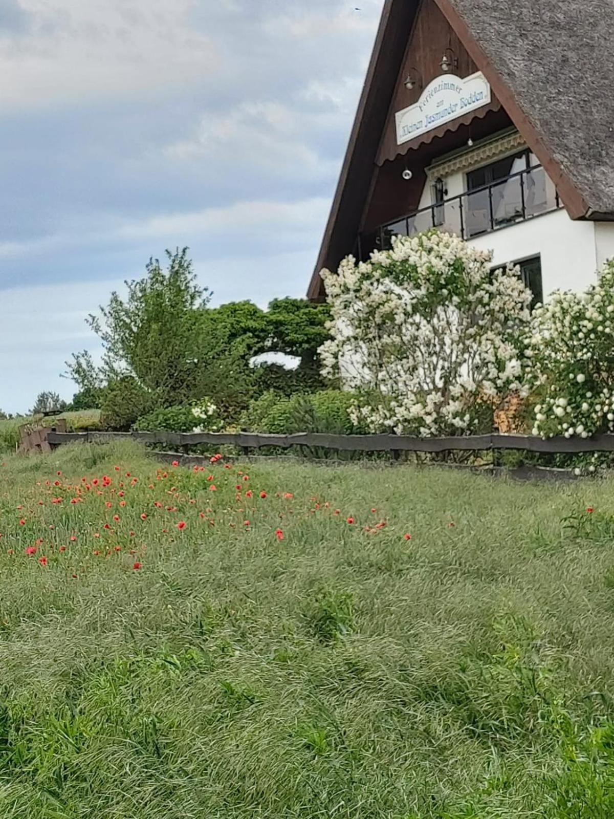 Pension Petersen Bergen Auf Rugen Quarto foto