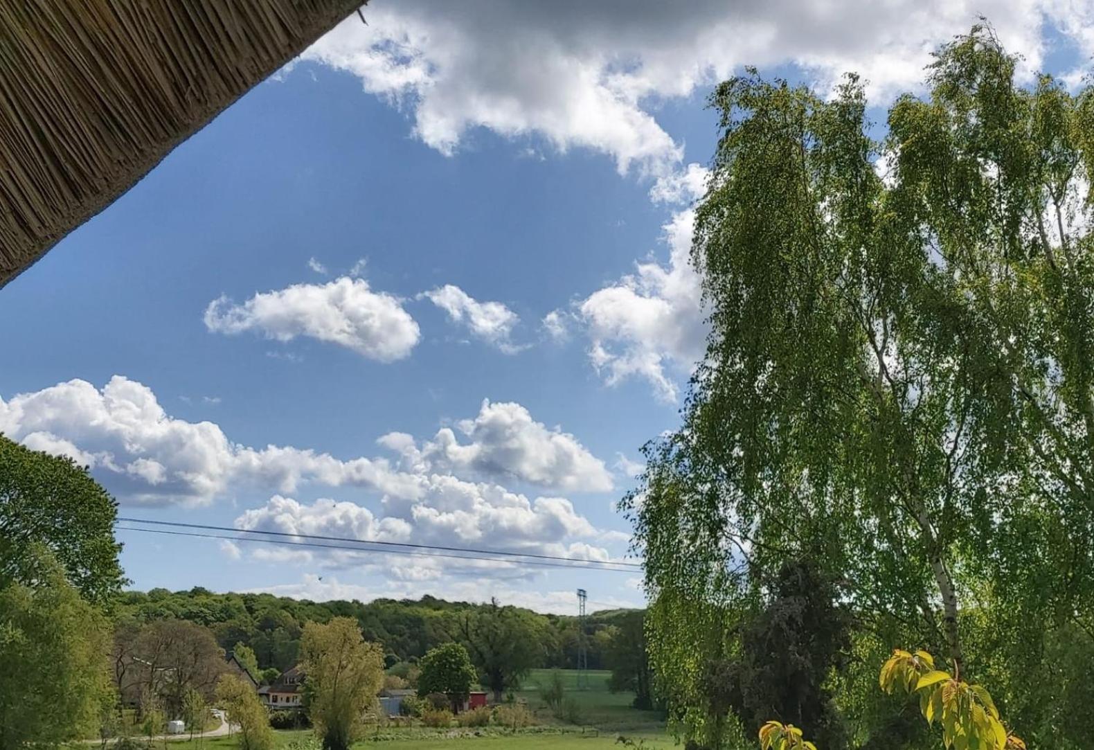 Pension Petersen Bergen Auf Rugen Quarto foto